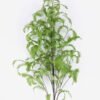 Artificial Plant Frond single stem GS-53625008CT_5 Artificial Plant 50*50*198cm Frond single stem GS-53625008CT 2025Oct YeahFlower is one of Chinese leading OEM manufacturers and exporters , supplying the silk flowers, wholesale artificial trees