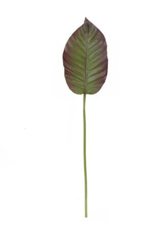 Artificial Plant 22*87cm Leaf single stem GS-50525022 2025Oct 3,000+ sqm showroom with thousands of artificial flowers, plants & trees ready for global sourcing.