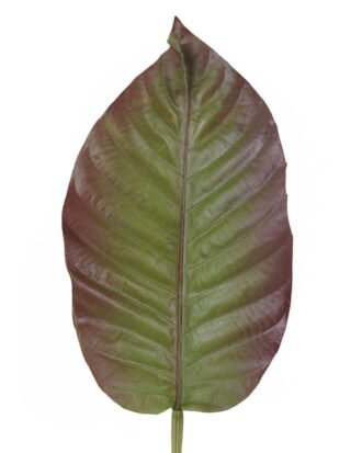 Artificial Plant 22*87cm Leaf single stem GS-50525022-G3 2025Oct YeahFlower is one of Chinese leading OEM manufacturers and exporters , supplying the silk flowers, wholesale artificial trees