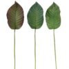 Artificial Plant 22*87cm Leaf single stem GS-50525022 2025Oct YeahFlower is one of Chinese leading OEM manufacturers and exporters , supplying the silk flowers, wholesale artificial trees
