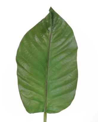Artificial Plant 22*87cm Leaf single stem GS-50525022 2025Oct YeahFlower is one of Chinese leading OEM manufacturers and exporters , supplying the silk flowers, wholesale artificial trees