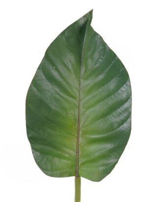 Artificial Plant 19*74cm Leaf single stem GS-50525023 2025Oct YeahFlower is one of Chinese leading OEM manufacturers and exporters , supplying the silk flowers, wholesale artificial trees