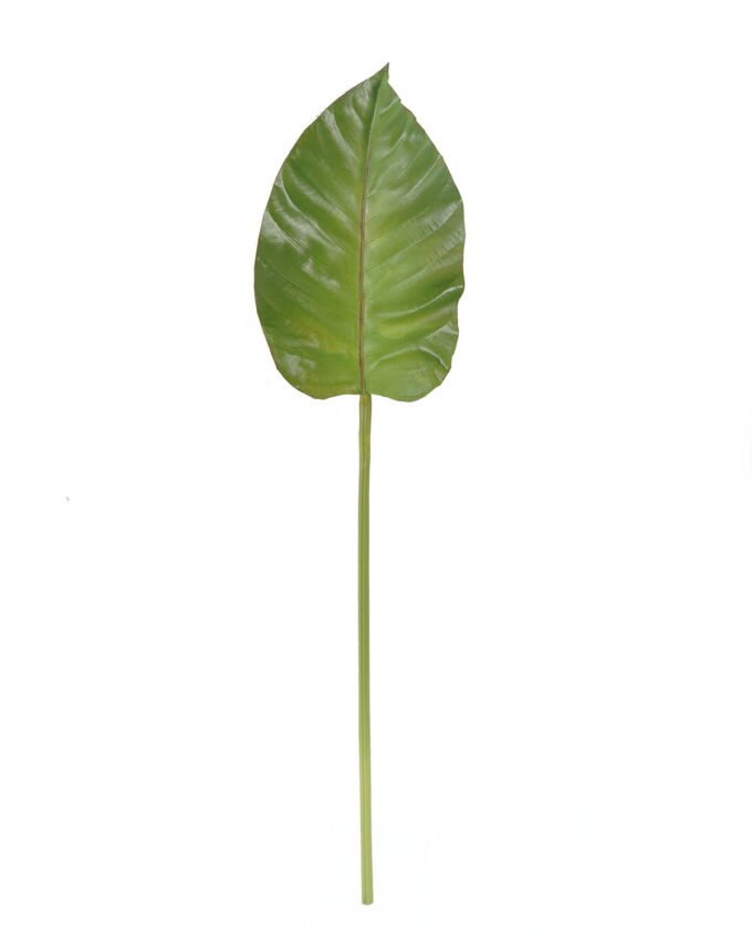 Artificial Plant 19*74cm Leaf single stem GS-50525023 2025Oct YeahFlower is one of Chinese leading OEM manufacturers and exporters , supplying the silk flowers, wholesale artificial trees