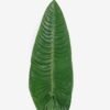 Artificial Plant 25*113cm Leaf single stem GS-50525024 2025Oct YeahFlower is one of Chinese leading OEM manufacturers and exporters , supplying the silk flowers, wholesale artificial trees