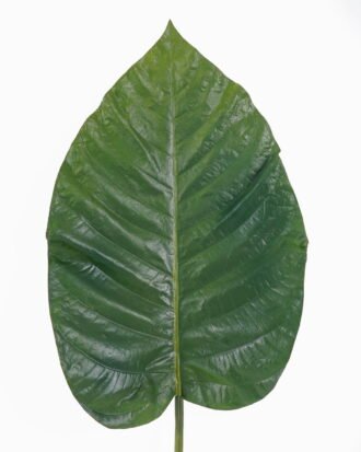Artificial Plant 29*96cm Leaf single stem GS-50525037 2025Oct YeahFlower is one of Chinese leading OEM manufacturers and exporters , supplying the silk flowers, wholesale artificial trees