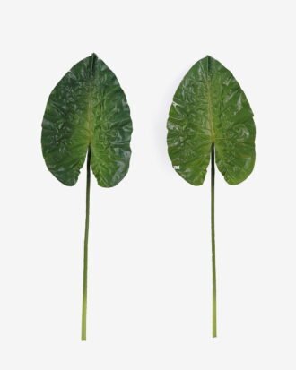 Artificial Plant 26*80cm Leaf single stem GS-50525044 2025Oct YeahFlower is one of Chinese leading OEM manufacturers and exporters , supplying the silk flowers, wholesale artificial trees Artificial Plant 26*80cm Leaf single stem GS-50525044 2025Oct YeahFlower is one of Chinese leading OEM manufacturers and exporters , supplying the silk flowers, wholesale artificial trees