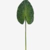Artificial Plant 26*80cm Leaf single stem GS-50525044 2025Oct YeahFlower is one of Chinese leading OEM manufacturers and exporters , supplying the silk flowers, wholesale artificial trees