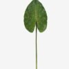 Artificial Plant 26*80cm Leaf single stem GS-50525044 2025Oct YeahFlower is one of Chinese leading OEM manufacturers and exporters , supplying the silk flowers, wholesale artificial trees