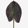 Artificial Plant 19*61cm Leaf single stem GS-50525045 2025Oct YeahFlower is one of Chinese leading OEM manufacturers and exporters , supplying the silk flowers, wholesale artificial trees