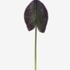 Artificial Plant 19*61cm Leaf single stem GS-50525045 2025Oct YeahFlower is one of Chinese leading OEM manufacturers and exporters , supplying the silk flowers, wholesale artificial trees