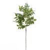 Artificial Plant Leaf single stem GS-64925022_4 Artificial Plant 35*35*100cm Leaf single stem GS-64925022 2025Oct YeahFlower is one of Chinese leading OEM manufacturers and exporters , supplying the silk flowers, wholesale artificial trees
