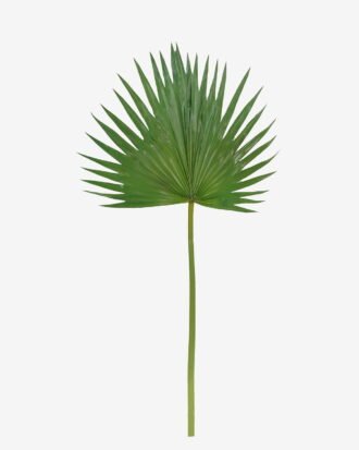 Artificial Plant 38*81cm Livistona chinensis  single stem GS-50525035-G2 2025Oct YeahFlower is one of Chinese leading OEM manufacturers and exporters , supplying the silk flowers, wholesale artificial trees