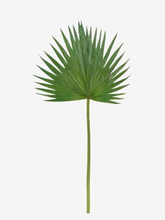 Artificial Plant 38*81cm Livistona chinensis  single stem GS-50525035 2025Oct 3,000+ sqm showroom with thousands of artificial flowers, plants & trees ready for global sourcing.
