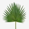 Artificial Plant 38*81cm Livistona chinensis  single stem GS-50525035-G2 2025Oct YeahFlower is one of Chinese leading OEM manufacturers and exporters , supplying the silk flowers, wholesale artificial trees