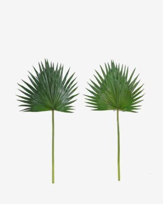 Artificial Plant 38*81cm Livistona chinensis  single stem GS-50525035 2025Oct YeahFlower is one of Chinese leading OEM manufacturers and exporters , supplying the silk flowers, wholesale artificial trees
