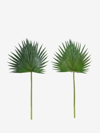 Artificial Plant 38*81cm Livistona chinensis  single stem GS-50525035-G2 2025Oct 3,000+ sqm showroom with thousands of artificial flowers, plants & trees ready for global sourcing.