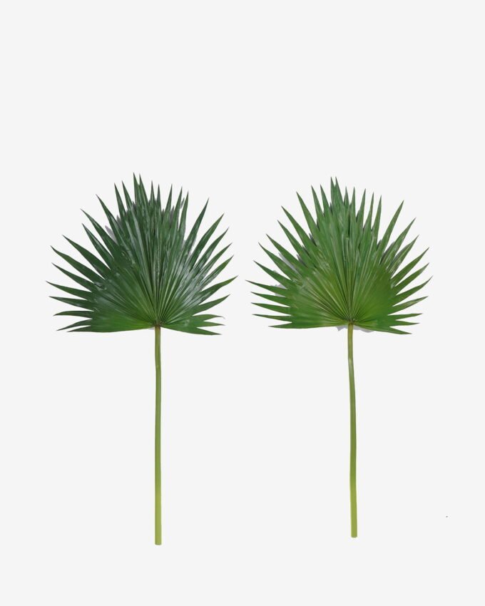 Artificial Plant 38*81cm Livistona chinensis  single stem GS-50525035 2025Oct YeahFlower is one of Chinese leading OEM manufacturers and exporters , supplying the silk flowers, wholesale artificial trees