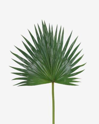 Artificial Plant 38*81cm Livistona chinensis  single stem GS-50525035 2025Oct YeahFlower is one of Chinese leading OEM manufacturers and exporters , supplying the silk flowers, wholesale artificial trees