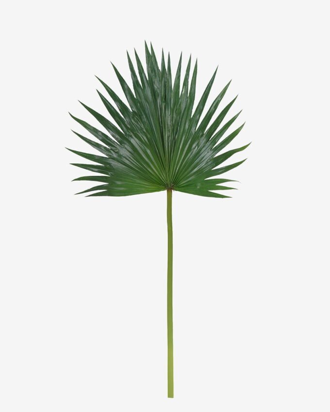 Artificial Plant 38*81cm Livistona chinensis  single stem GS-50525035 2025Oct YeahFlower is one of Chinese leading OEM manufacturers and exporters , supplying the silk flowers, wholesale artificial trees