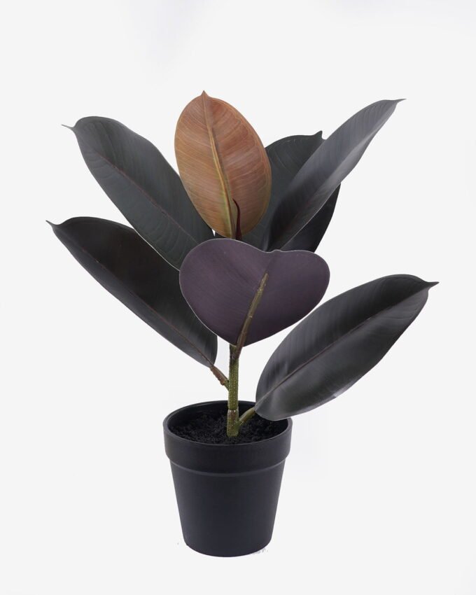 Artificial Plant 22*22*35cm Mini rubber tree in PP Pot/7 lvs GS-72825001R-K1 2025Oct YeahFlower is one of Chinese leading OEM manufacturers and exporters , supplying the silk flowers, wholesale artificial trees