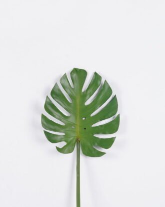Artificial Plant 29*88cm Monstera leaf single stem GS-50525017 2025Oct YeahFlower is one of Chinese leading OEM manufacturers and exporters , supplying the silk flowers, wholesale artificial trees