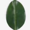 Artificial Plant 20*74cm Oak leaf single stem GS-50525031 2025Oct YeahFlower is one of Chinese leading OEM manufacturers and exporters , supplying the silk flowers, wholesale artificial trees