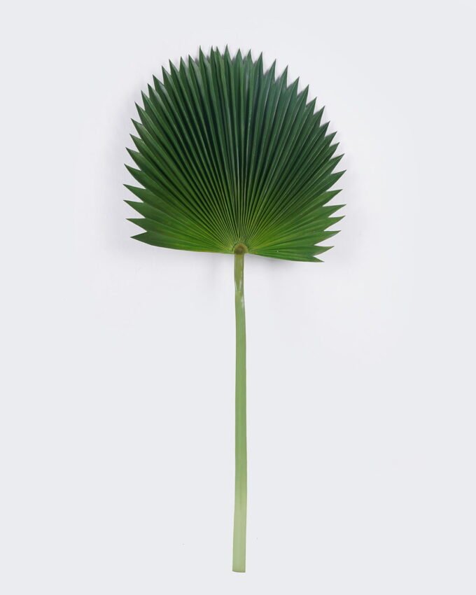 Artificial Plant Palm leaf single stem GS-50525014_4 Artificial Plant 46*107cm Palm leaf single stem GS-50525014 2025Oct YeahFlower is one of Chinese leading OEM manufacturers and exporters , supplying the silk flowers, wholesale artificial trees