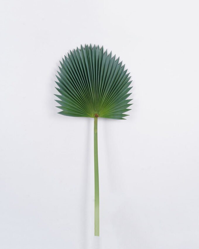 Artificial Plant Palm leaf single stem GS-50525014_5 Artificial Plant 46*107cm Palm leaf single stem GS-50525014 2025Oct YeahFlower is one of Chinese leading OEM manufacturers and exporters , supplying the silk flowers, wholesale artificial trees
