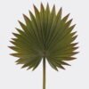 Artificial Plant 30*73cm Palm leaf single stem GS-50525048 2025Oct YeahFlower is one of Chinese leading OEM manufacturers and exporters , supplying the silk flowers, wholesale artificial trees