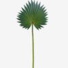 Artificial Plant 30*73cm Palm leaf single stem GS-50525048 2025Oct YeahFlower is one of Chinese leading OEM manufacturers and exporters , supplying the silk flowers, wholesale artificial trees