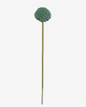 Artificial Plant 10*10*81cm Seedpod of the lotus  single stem GS-50525025 2025Oct YeahFlower is one of Chinese leading OEM manufacturers and exporters , supplying the silk flowers, wholesale artificial trees