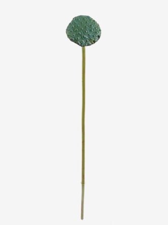 Artificial Plant 25*113cm Leaf single stem GS-50525024 2025Oct 3,000+ sqm showroom with thousands of artificial flowers, plants & trees ready for global sourcing.