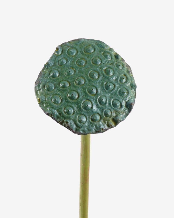Artificial Plant Seedpod of the lotus single stem GS-50525025_3 Artificial Plant 10*10*81cm Seedpod of the lotus single stem GS-50525025 2025Oct YeahFlower is one of Chinese leading OEM manufacturers and exporters , supplying the silk flowers, wholesale artificial trees