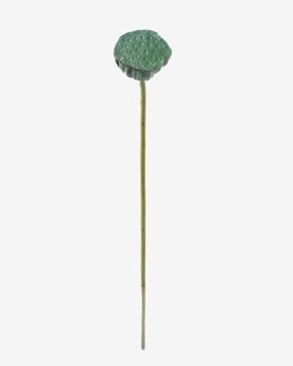 Artificial Plant 8*8*69cm Seedpod of the lotus single stem GS-50525026 2025Oct YeahFlower is one of Chinese leading OEM manufacturers and exporters , supplying the silk flowers, wholesale artificial trees