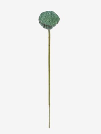 Artificial Plant 10*10*81cm Seedpod of the lotus  single stem GS-50525025 2025Oct 3,000+ sqm showroom with thousands of artificial flowers, plants & trees ready for global sourcing.