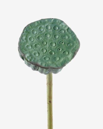 Artificial Plant 8*8*69cm Seedpod of the lotus single stem GS-50525026 2025Oct YeahFlower is one of Chinese leading OEM manufacturers and exporters , supplying the silk flowers, wholesale artificial trees