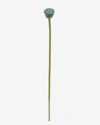 Artificial Plant 5*5*69cm Seedpod of the lotus single stem GS-50525027 2025Oct YeahFlower is one of Chinese leading OEM manufacturers and exporters , supplying the silk flowers, wholesale artificial trees