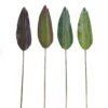 Artificial Plant Strelitzia Leaf single stem GS-50525019_1 Artificial Plant 17*112cm Strelitzia Leaf single stem GS-50525019 2025Oct YeahFlower is one of Chinese leading OEM manufacturers and exporters , supplying the silk flowers, wholesale artificial trees