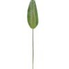 Artificial Plant 17*112cm Strelitzia leaf single stem GS-50525019-G2 2025Oct YeahFlower is one of Chinese leading OEM manufacturers and exporters , supplying the silk flowers, wholesale artificial trees