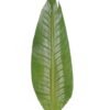 Artificial Plant 17*112cm Strelitzia leaf single stem GS-50525019-G2 2025Oct YeahFlower is one of Chinese leading OEM manufacturers and exporters , supplying the silk flowers, wholesale artificial trees
