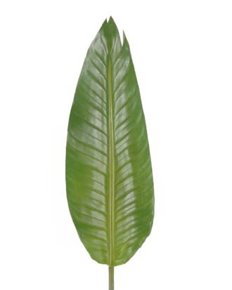 Artificial Plant 17*112cm Strelitzia leaf single stem GS-50525019-G2 2025Oct YeahFlower is one of Chinese leading OEM manufacturers and exporters , supplying the silk flowers, wholesale artificial trees