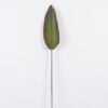 Artificial Plant 17*112cm Strelitzia leaf single stem GS-50525019-G4 2025Oct YeahFlower is one of Chinese leading OEM manufacturers and exporters , supplying the silk flowers, wholesale artificial trees