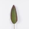 Artificial Plant 17*112cm Strelitzia leaf single stem GS-50525019-G4 2025Oct YeahFlower is one of Chinese leading OEM manufacturers and exporters , supplying the silk flowers, wholesale artificial trees