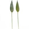 Artificial Plant 10*83cm Strelitzia leaf single stem GS-50525021 2025Oct YeahFlower is one of Chinese leading OEM manufacturers and exporters , supplying the silk flowers, wholesale artificial trees