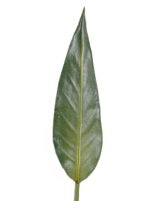 Artificial Plant 10*83cm Strelitzia leaf single stem GS-50525021 2025Oct YeahFlower is one of Chinese leading OEM manufacturers and exporters , supplying the silk flowers, wholesale artificial trees