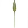 Artificial Plant 10*83cm Strelitzia leaf single stem GS-50525021 2025Oct YeahFlower is one of Chinese leading OEM manufacturers and exporters , supplying the silk flowers, wholesale artificial trees