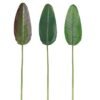 Artificial Plant 19*106cm Strelitzia reginae Aiton leaf single stem GS-50525066 2025Oct YeahFlower is one of Chinese leading OEM manufacturers and exporters , supplying the silk flowers, wholesale artificial trees