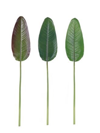 Artificial Plant 21*59cm Thaumatophyllum bipinnatifidum leaf single stem GS-50525067 2025Oct 3,000+ sqm showroom with thousands of artificial flowers, plants & trees ready for global sourcing.