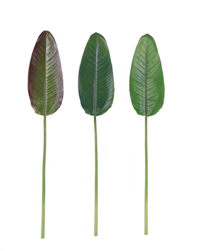 Artificial Plant 19*106cm Strelitzia reginae Aiton leaf single stem GS-50525066 2025Oct YeahFlower is one of Chinese leading OEM manufacturers and exporters , supplying the silk flowers, wholesale artificial trees