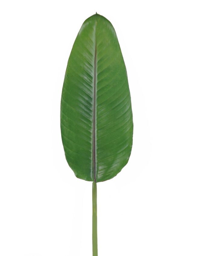 Artificial Plant 19*106cm Strelitzia reginae Aiton leaf single stem GS-50525066 2025Oct YeahFlower is one of Chinese leading OEM manufacturers and exporters , supplying the silk flowers, wholesale artificial trees